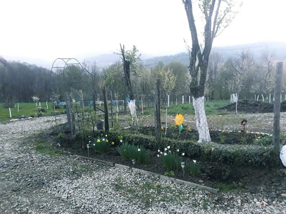 immagine annuncio 4 di 7