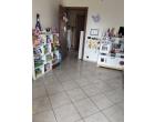 Foto - Appartamento in Vendita a Grugliasco (Torino)