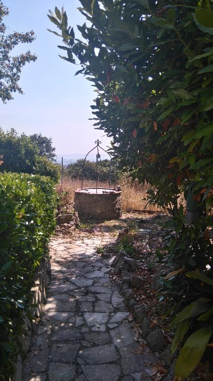 immagine annuncio 2 di 6
