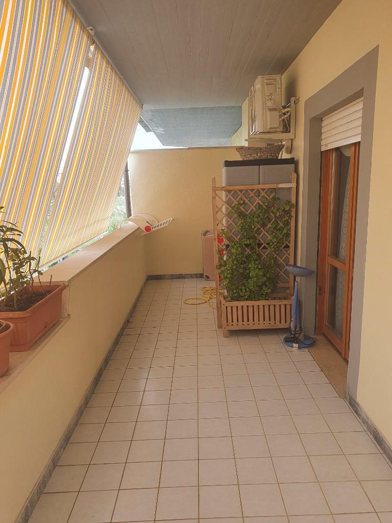 immagine annuncio 2 di 7