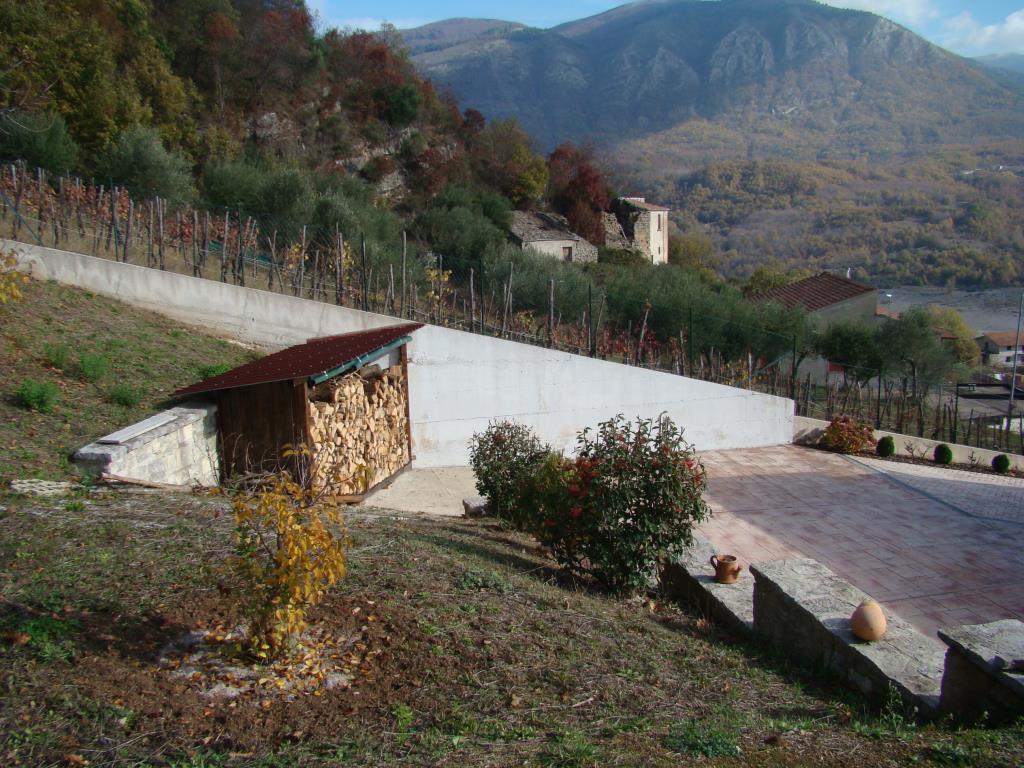 immagine annuncio 5 di 7
