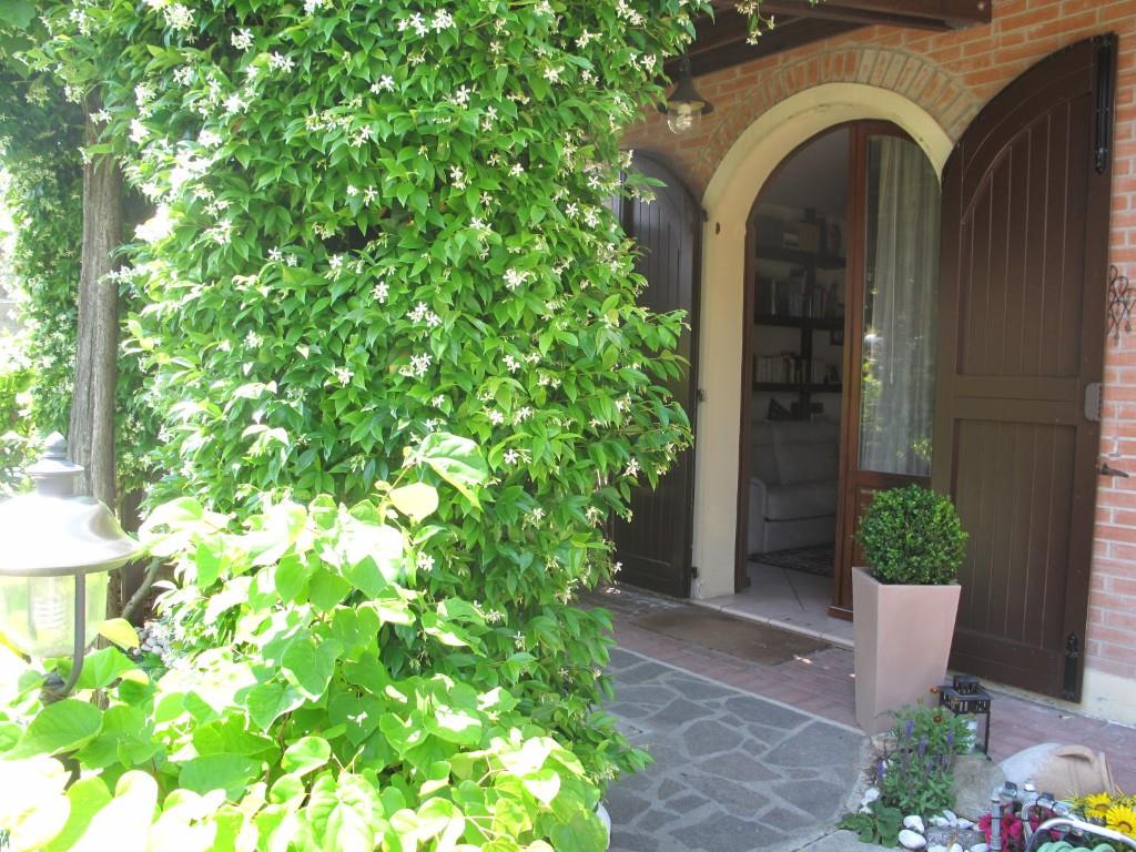immagine annuncio 2 di 6