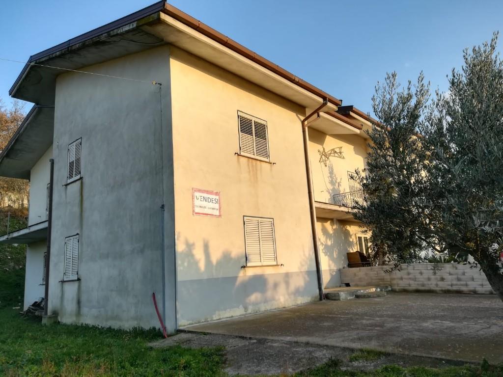 immagine annuncio 5 di 6