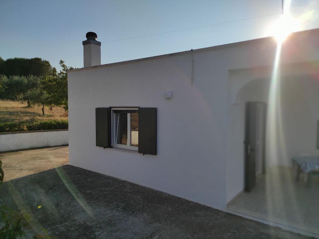 immagine annuncio 3 di 7