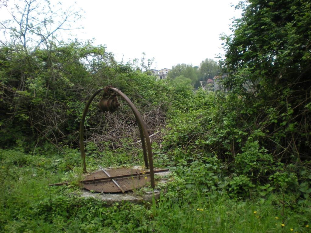 immagine annuncio 3 di 7