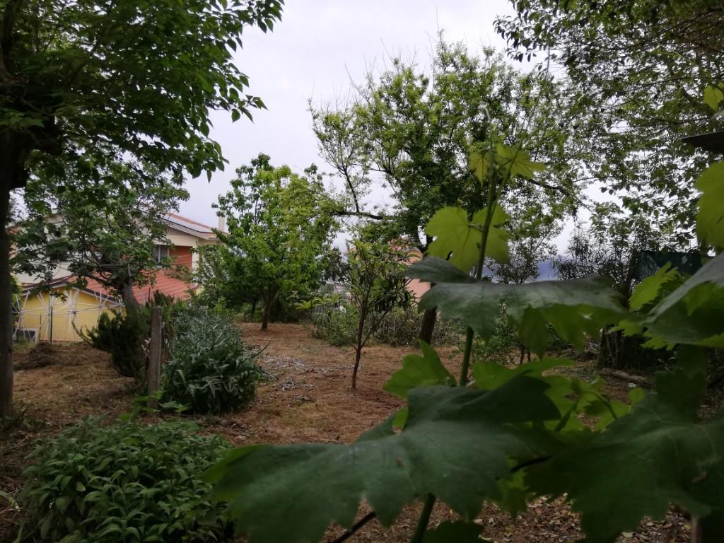 immagine annuncio 1 di 7
