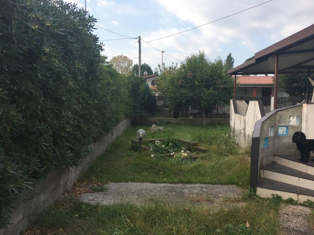 immagine annuncio 1 di 7