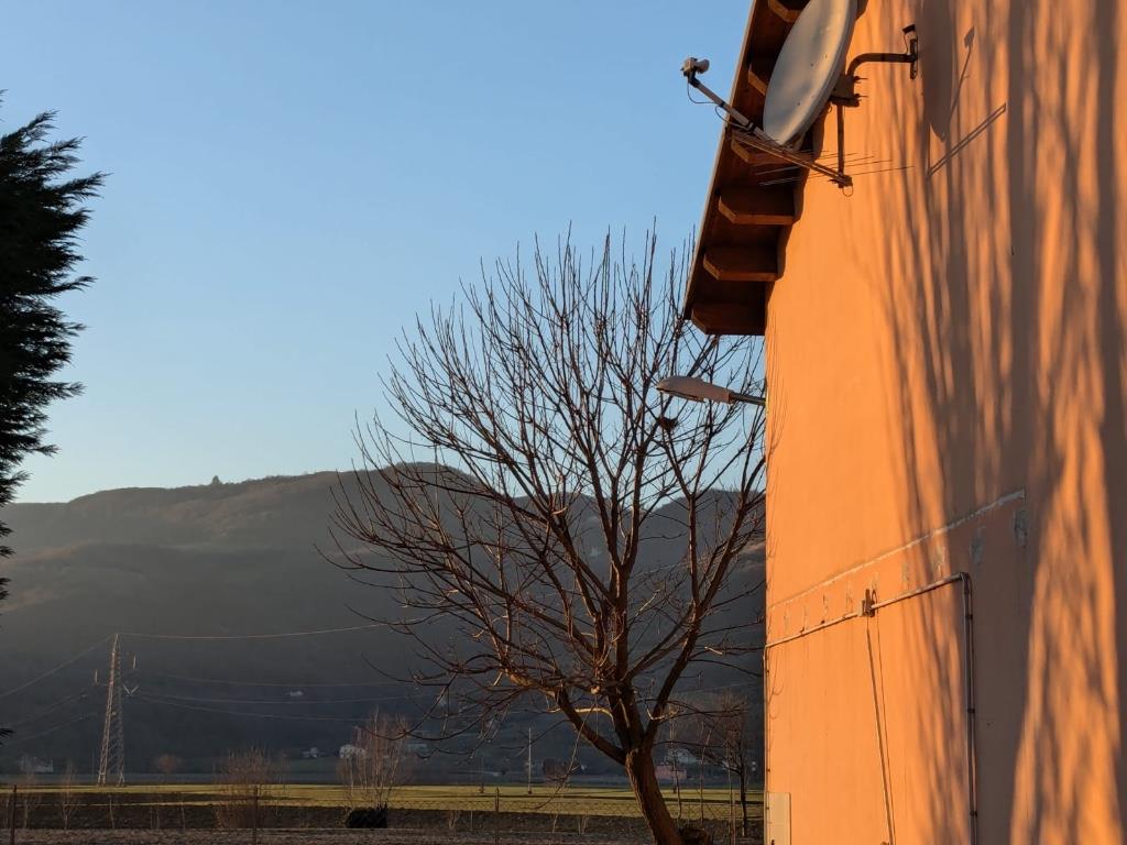 immagine annuncio 4 di 7