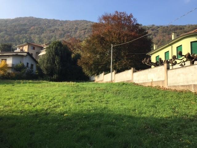 immagine annuncio 1 di 3