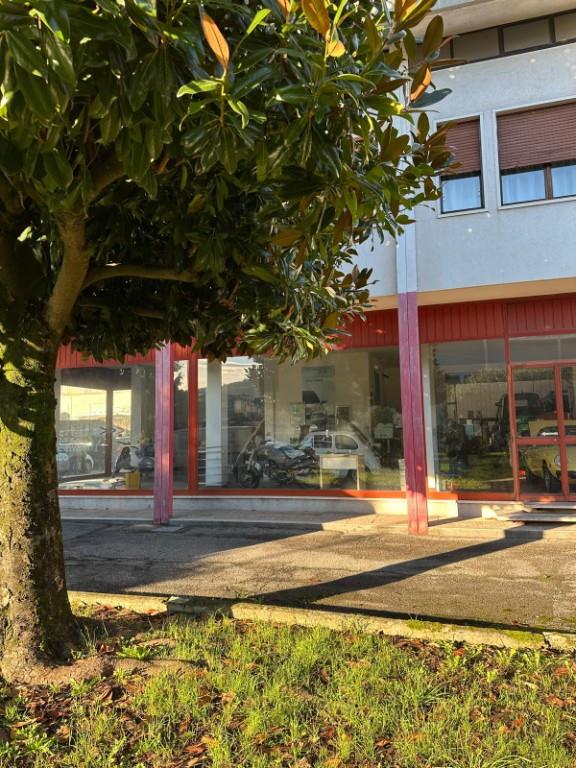 immagine annuncio 5 di 7