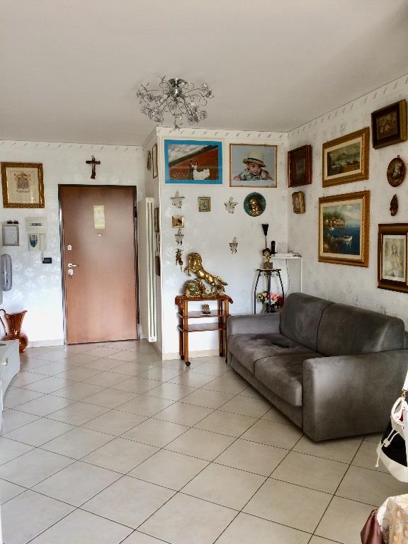 immagine annuncio 3 di 7