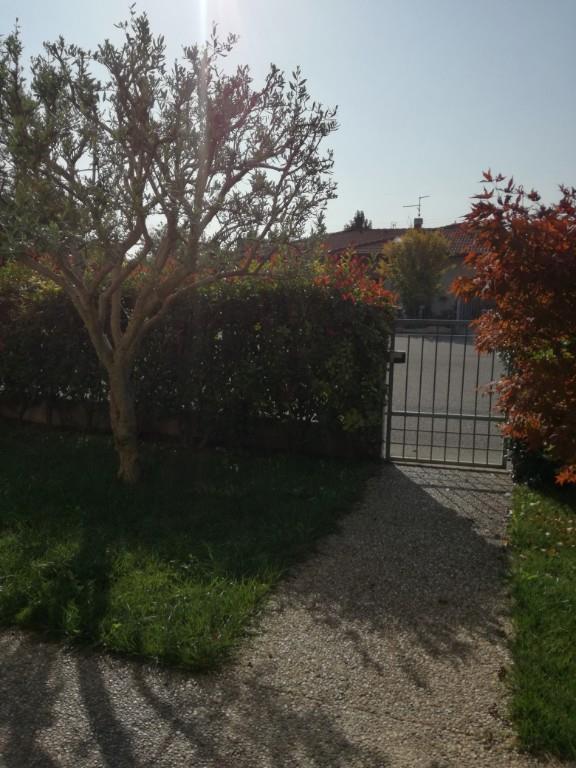 immagine annuncio 5 di 7
