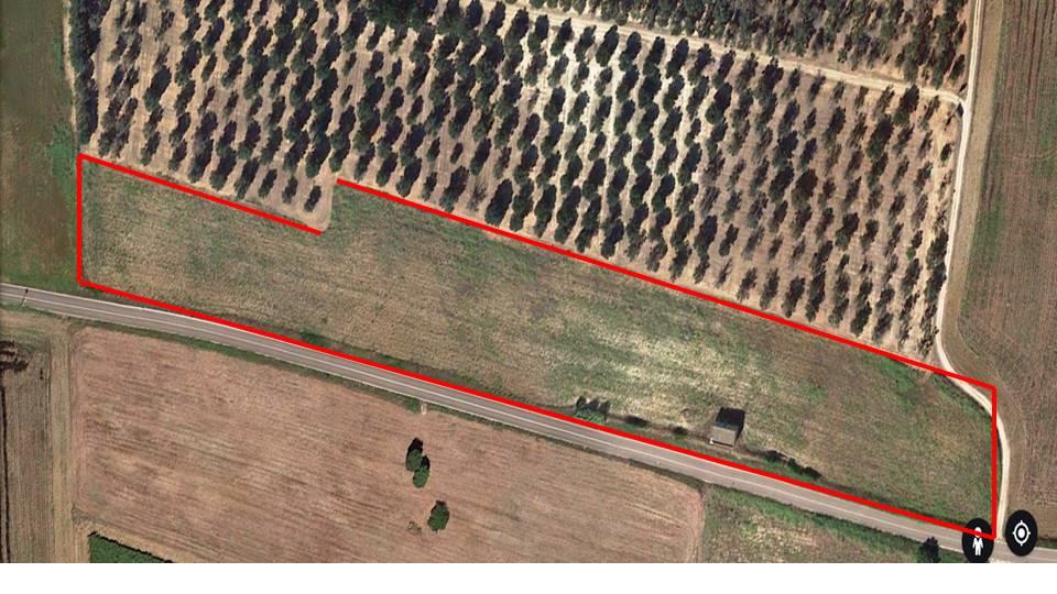 immagine annuncio 3 di 6