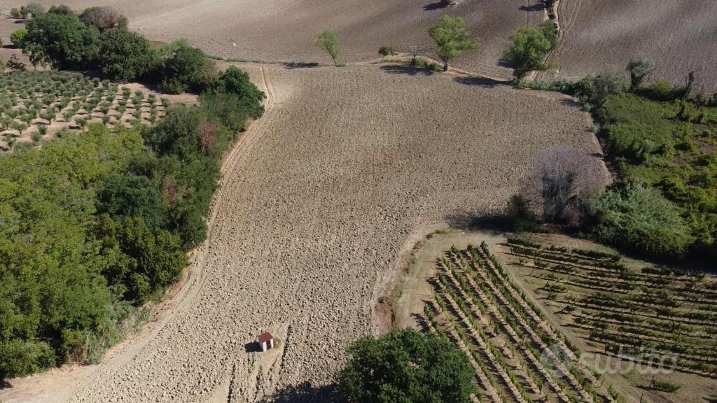 immagine annuncio 4 di 7