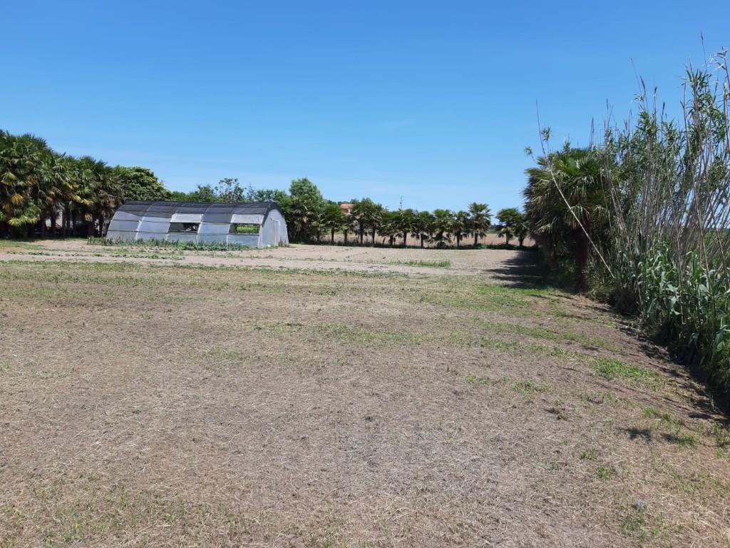 immagine annuncio 2 di 7