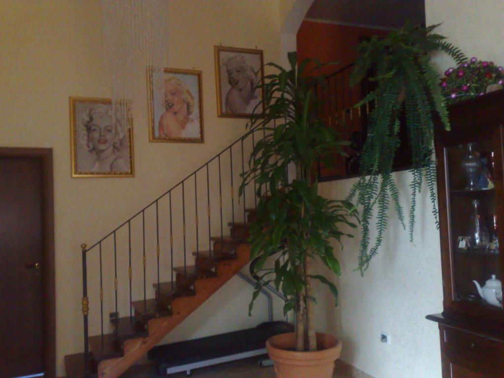 immagine annuncio 5 di 6