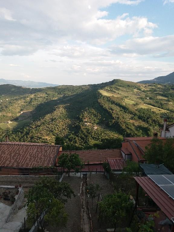 immagine annuncio 3 di 4