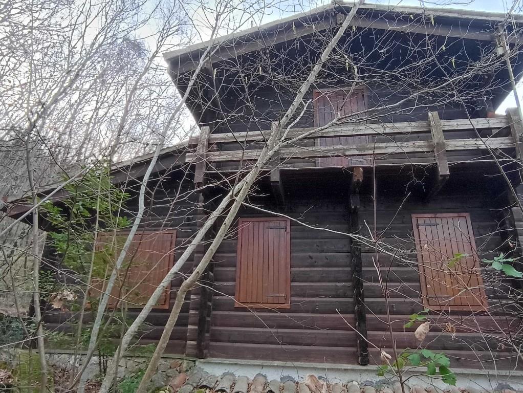 immagine annuncio 4 di 7