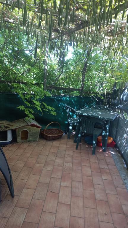 immagine annuncio 6 di 7