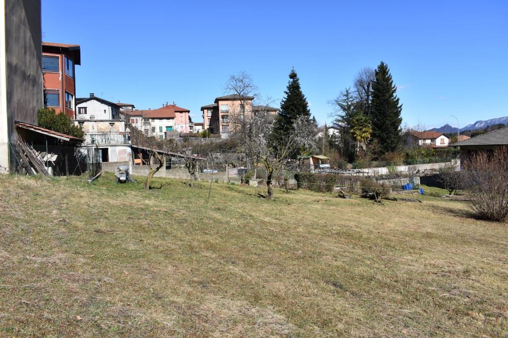 immagine annuncio 2 di 4