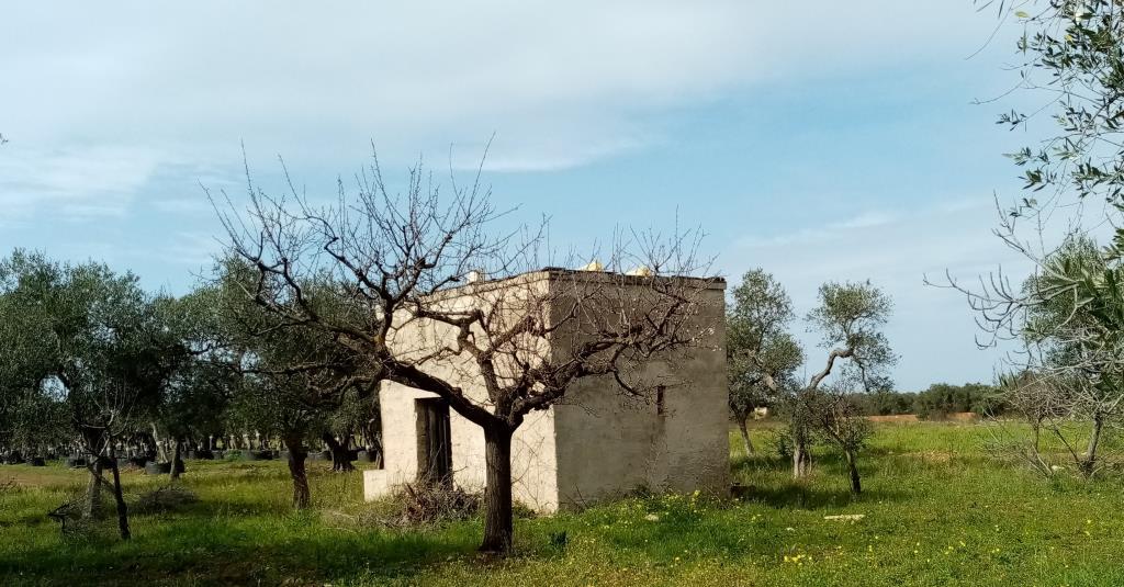 immagine annuncio 1 di 7