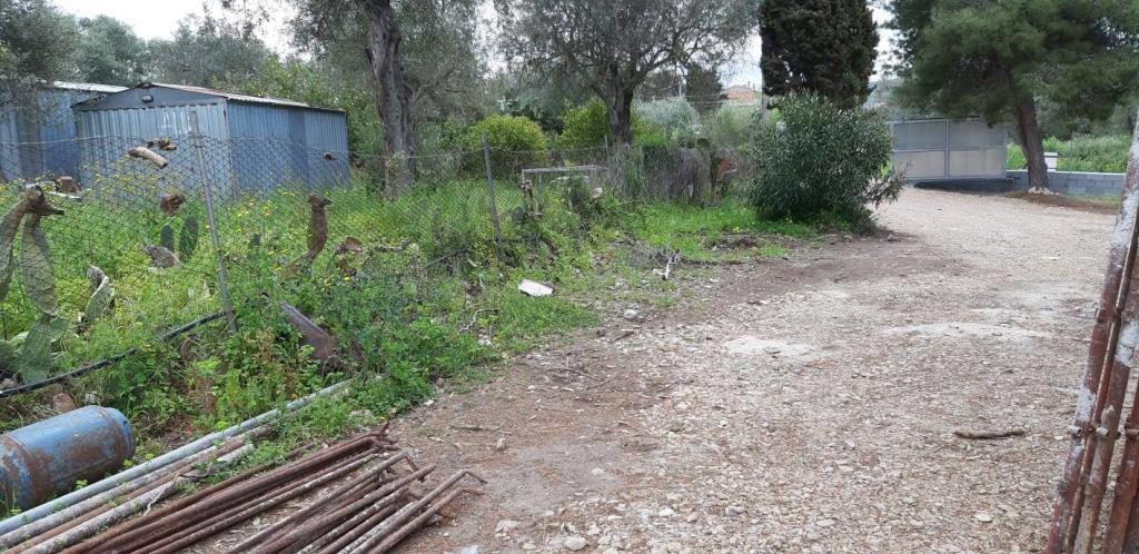 immagine annuncio 3 di 4