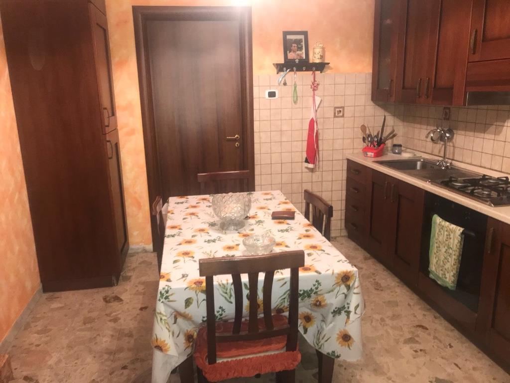 immagine annuncio 3 di 7