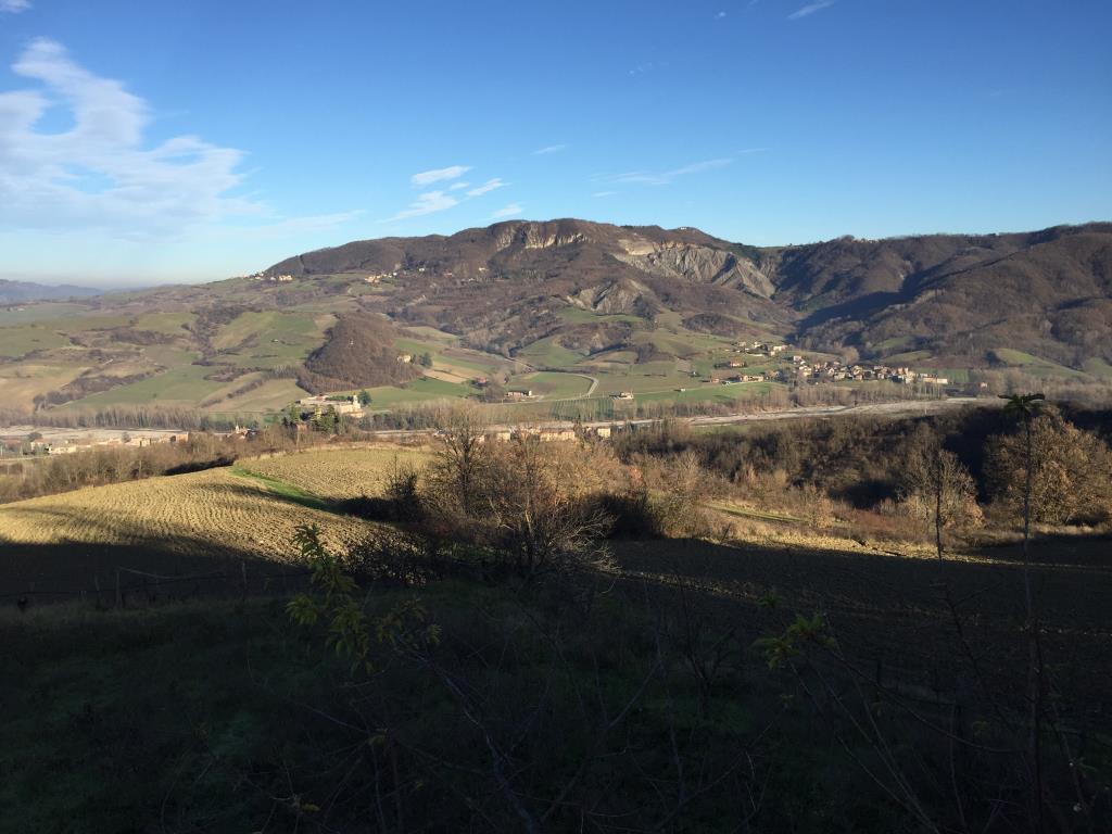 immagine annuncio 1 di 4