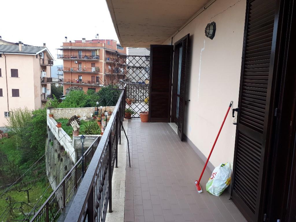 immagine annuncio 6 di 7