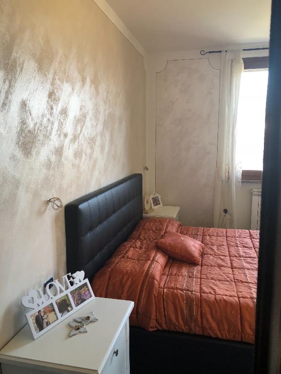 immagine annuncio 2 di 7