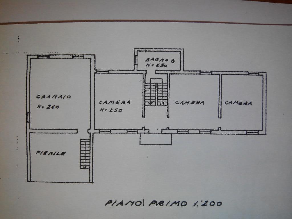 immagine annuncio 5 di 7