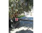 Foto - Affitto Villa Vacanze da Privato a Orosei (Nuoro)