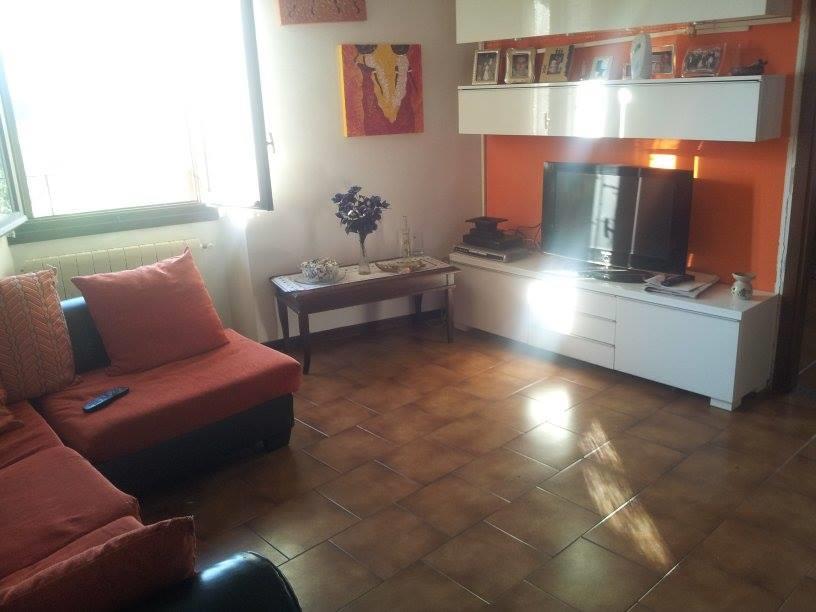 immagine annuncio 3 di 7