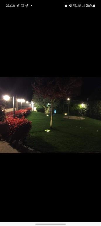 immagine annuncio 2 di 3