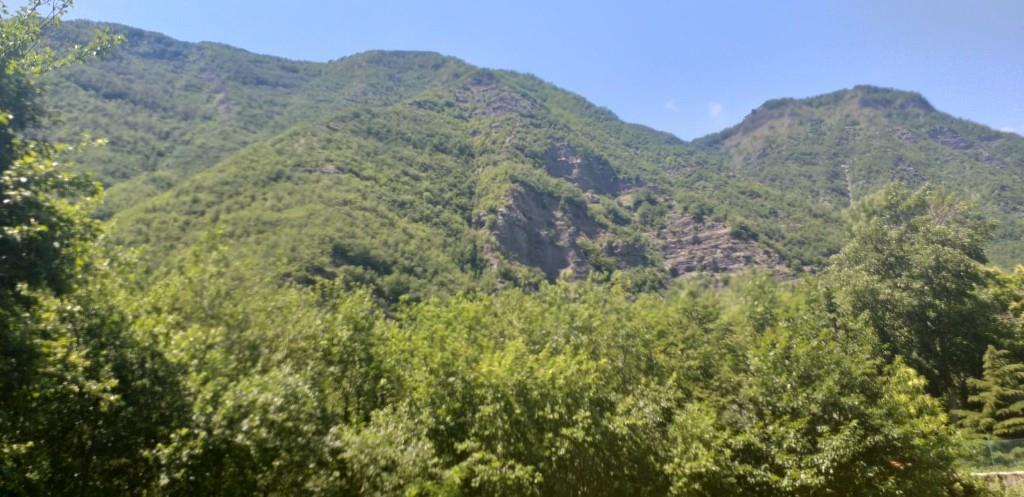 immagine annuncio 5 di 7