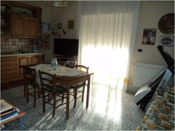 immagine annuncio 2 di 7