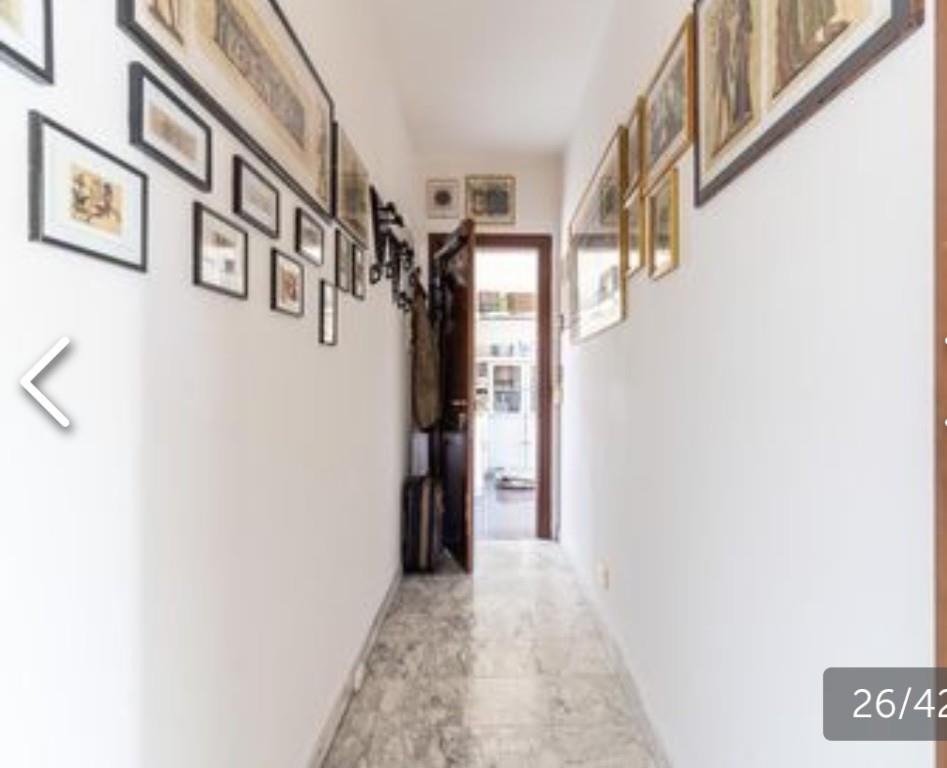 immagine annuncio 4 di 7