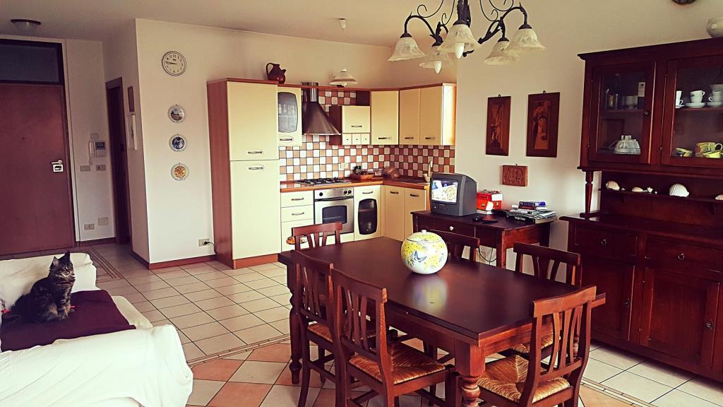 immagine annuncio 1 di 7