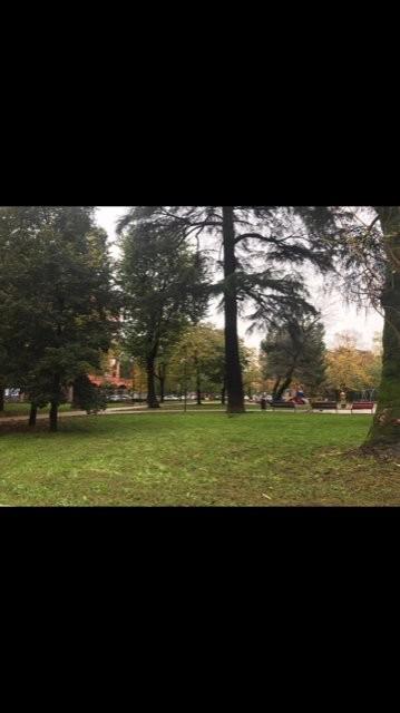 immagine annuncio 5 di 7