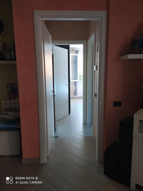 immagine annuncio 3 di 7