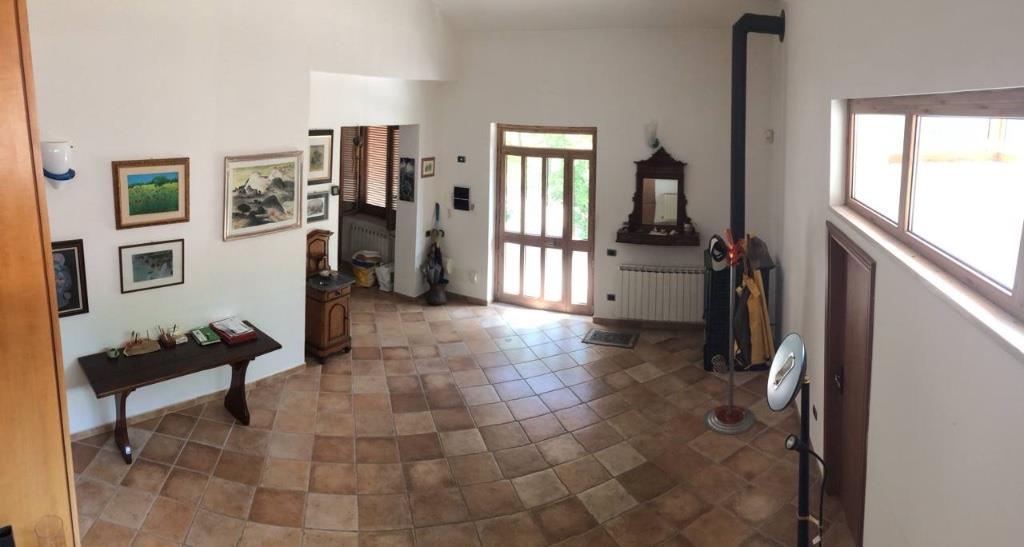 immagine annuncio 2 di 7