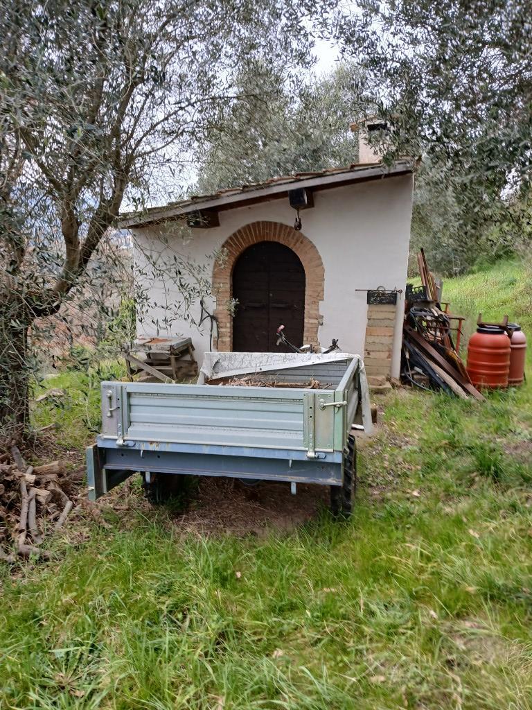 immagine annuncio 3 di 7