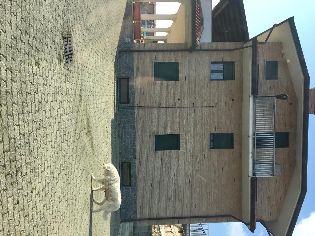 immagine annuncio 1 di 7