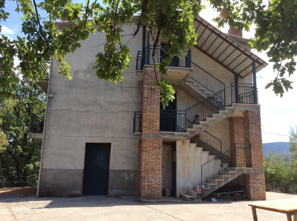 immagine annuncio 2 di 4