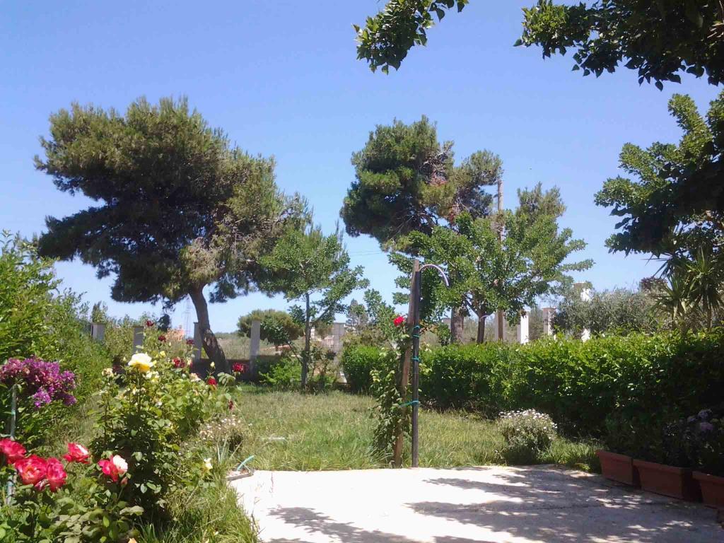 immagine annuncio 2 di 7