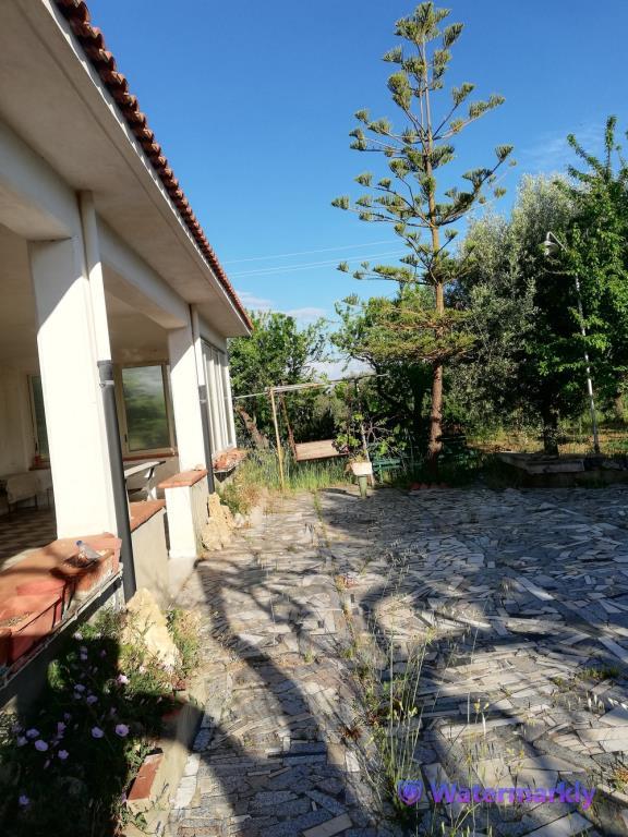 immagine annuncio 5 di 7