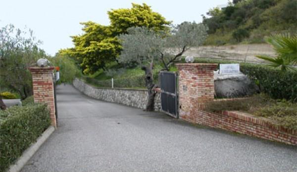 immagine annuncio 6 di 7