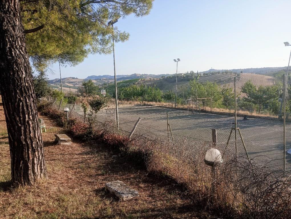 immagine annuncio 3 di 7