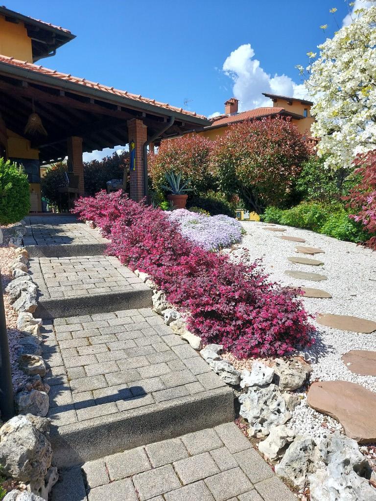 immagine annuncio 1 di 3