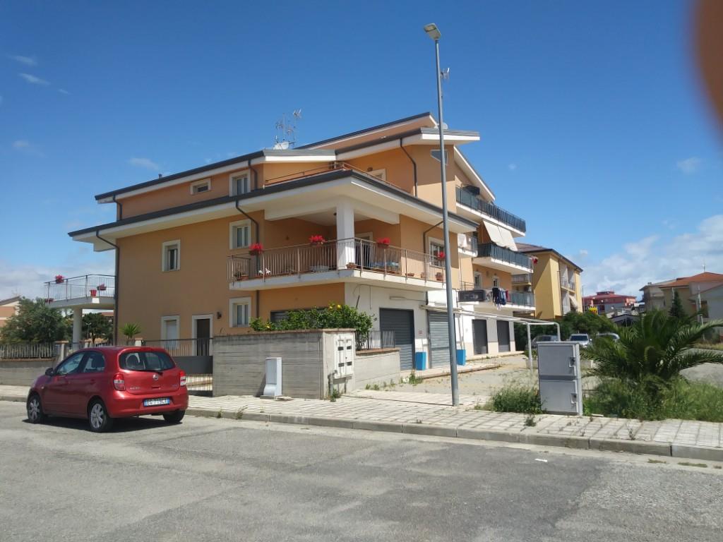 immagine annuncio 5 di 6